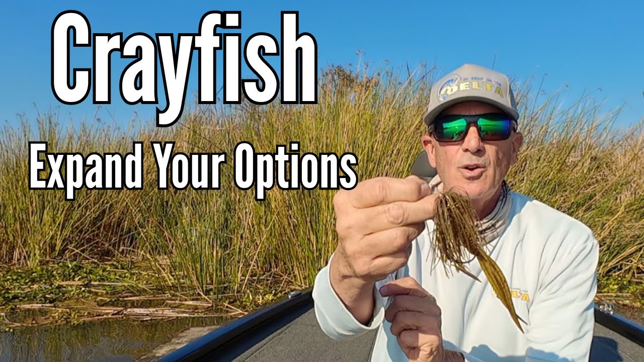 Creative Crayfish Riggs-Expand Your Options.