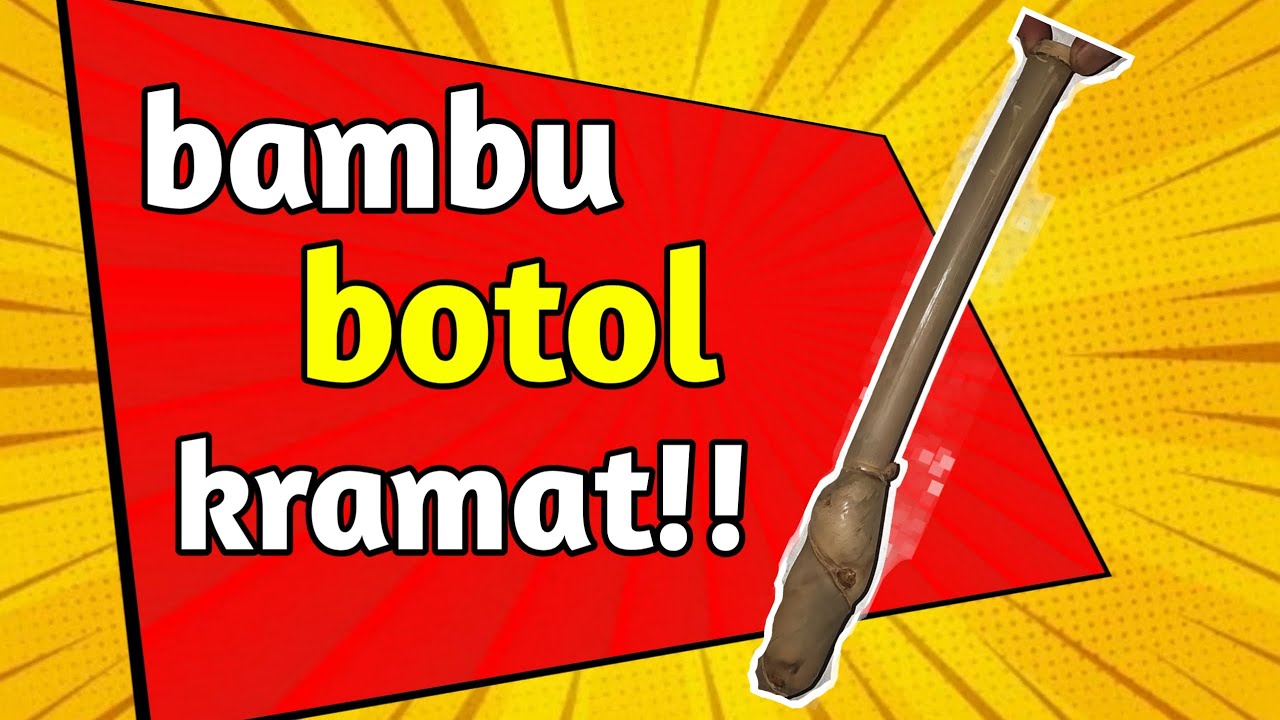 bambu unik yang dicari kolektor