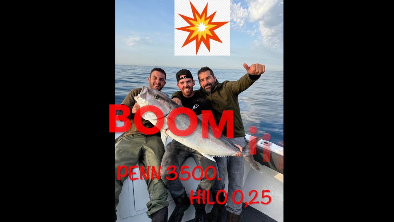 #viralvideo #PENN PESCAAL VIVO SERVIOLA