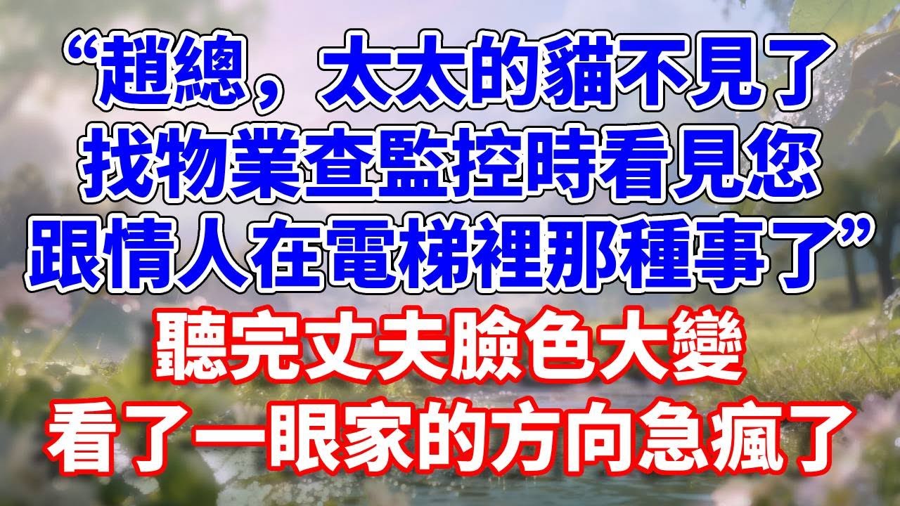 “趙總，太太的貓不見了，找物業查監控時看見您，跟情人在電梯裡那種事了”聽完丈夫臉色大變，看了一眼家的方向急瘋了#完結 #情感故事 #一口氣看完 #為人處世