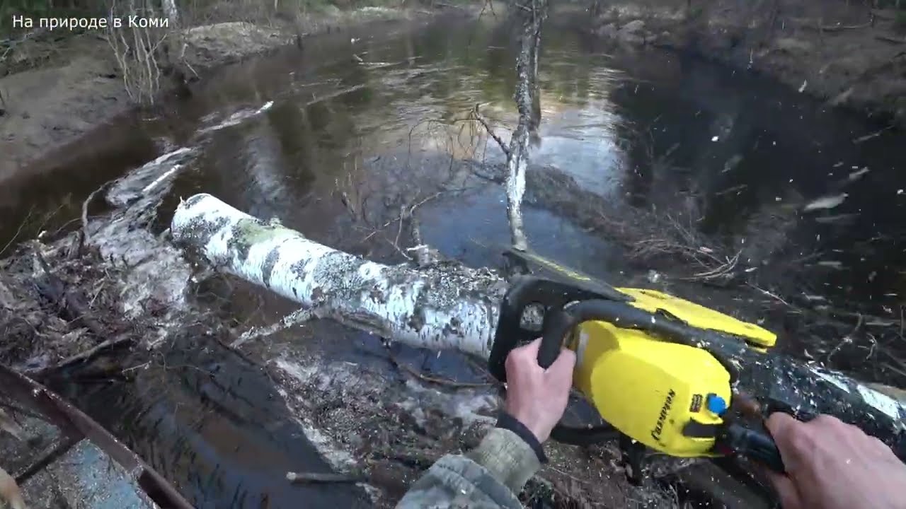 Медведь вышел на берег, не к добру! Предупредил меня об опасности, что меня ждало впереди. 10 серия