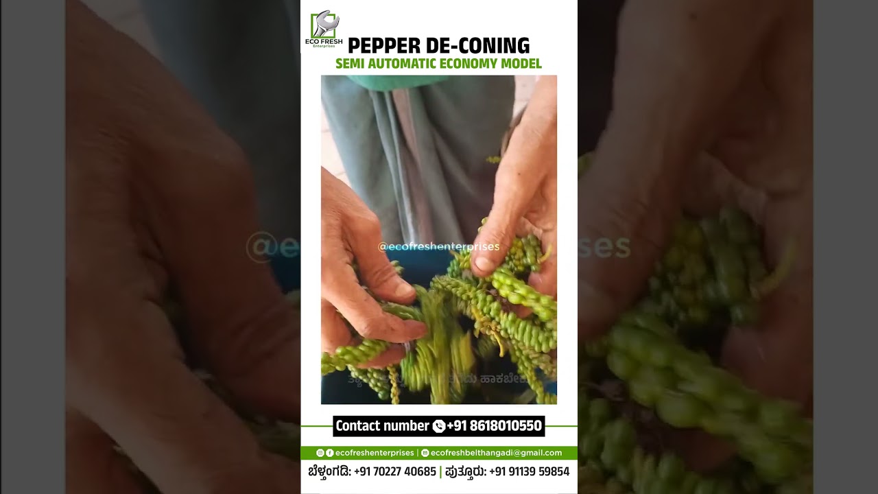 PEPPER DECONING MACHINE SEMI AUTOMATIC ECONOMY  MODEL