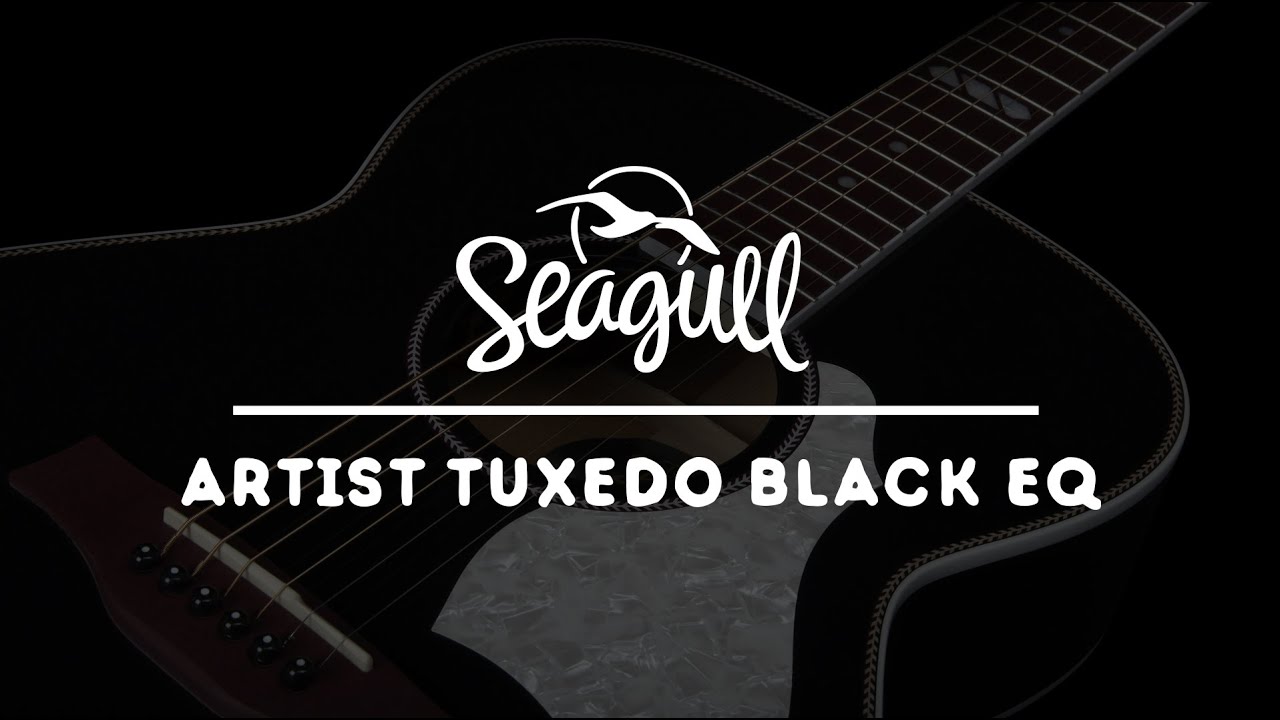Seagull Artist Tuxedo Black EQ