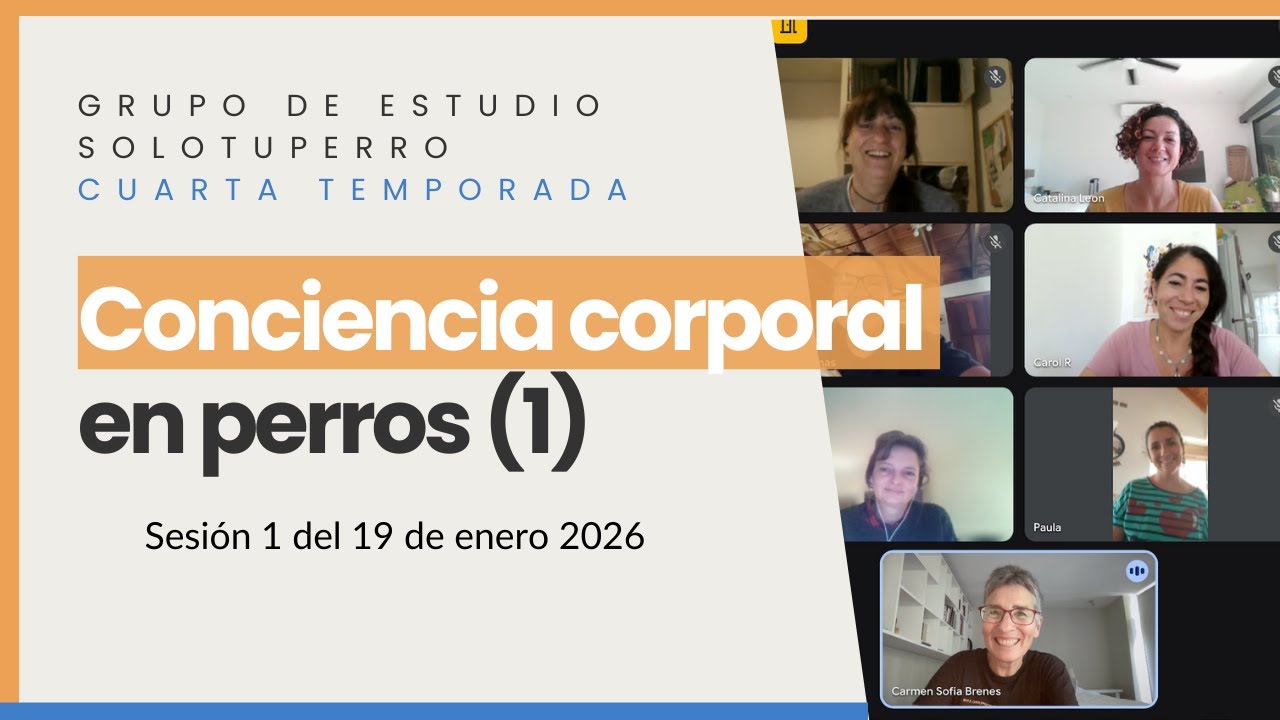 Los perros tienen conciencia del tamaño y la forma de su cuerpo (1)