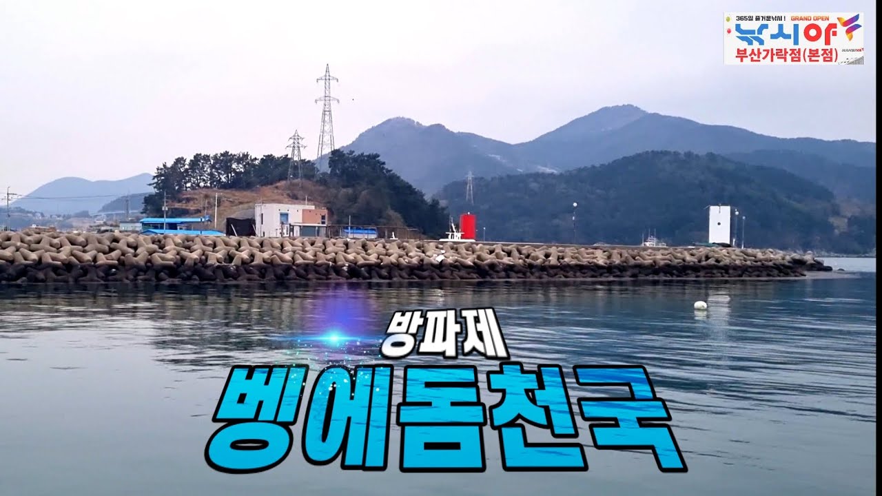 조용한방파제 벵에돔이 바글바글합니다.