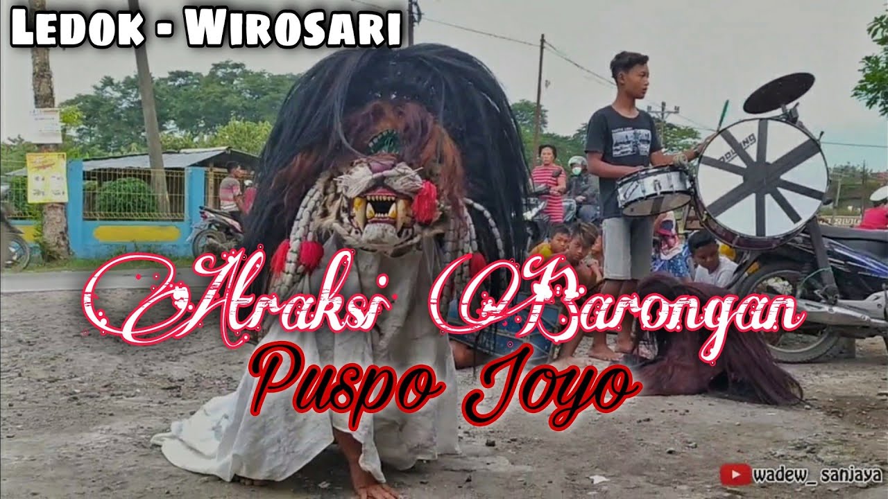 Atraksi Barongan Puspo Joyo | Ledok - Wirosari | Wadew_ Sanjaya