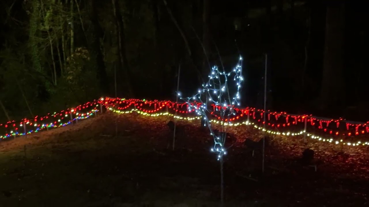 Learning more about my programable lights! 