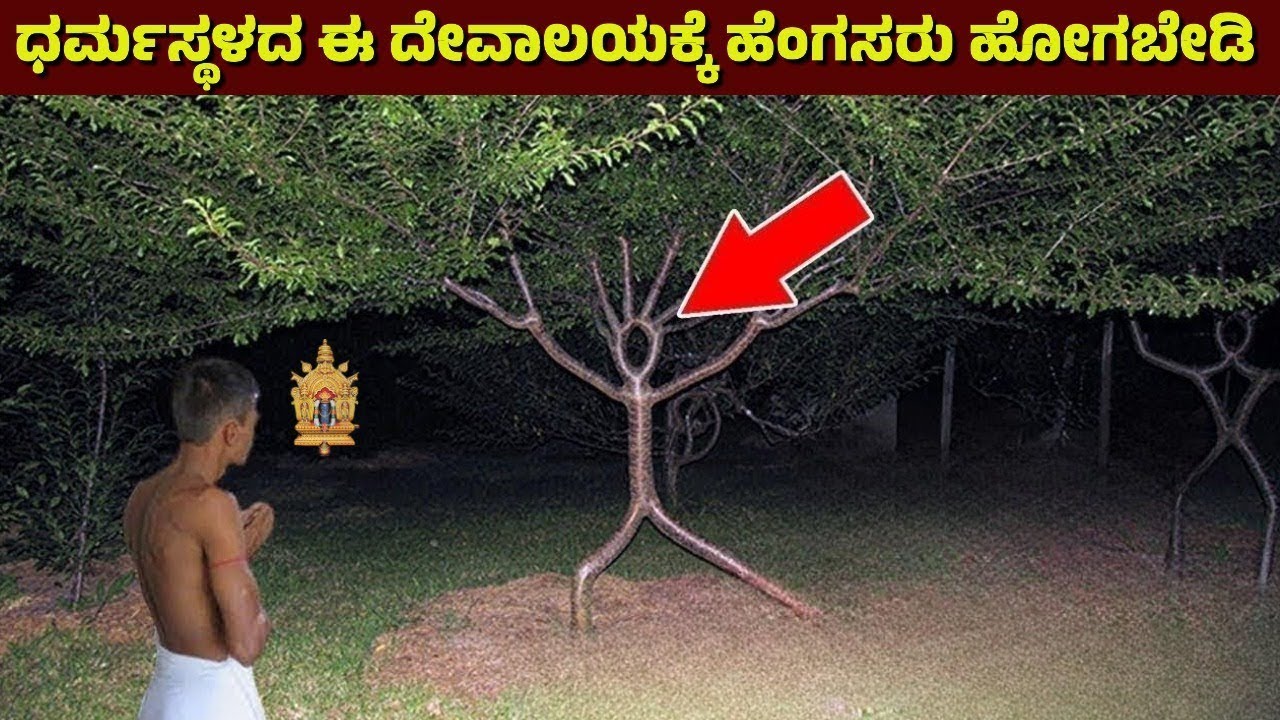 ಧರ್ಮಸ್ಥಳದ ಈ ದೇವಸ್ಥಾನದಲ್ಲಿ ಹೆಂಗಸರು ಹೋದರೆ ಅಪಾಯ..! Dharmastala Annappa Temple  | Body |