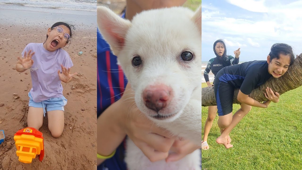 Very Funny Shorts VDO‼️😆 HaHaaa🥰  | JJaiPan Shorts Compilation #shorts
