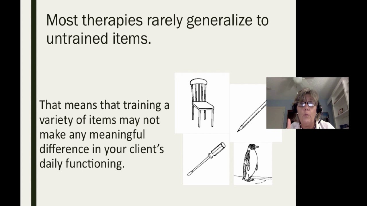 #e229 Preview: Functional and First-Rate Aphasia Treatment: A Client Centered Approach