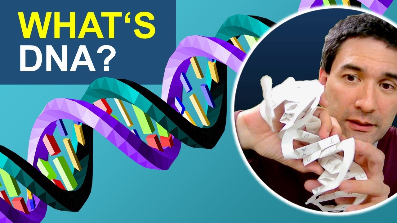 DNA simply explained