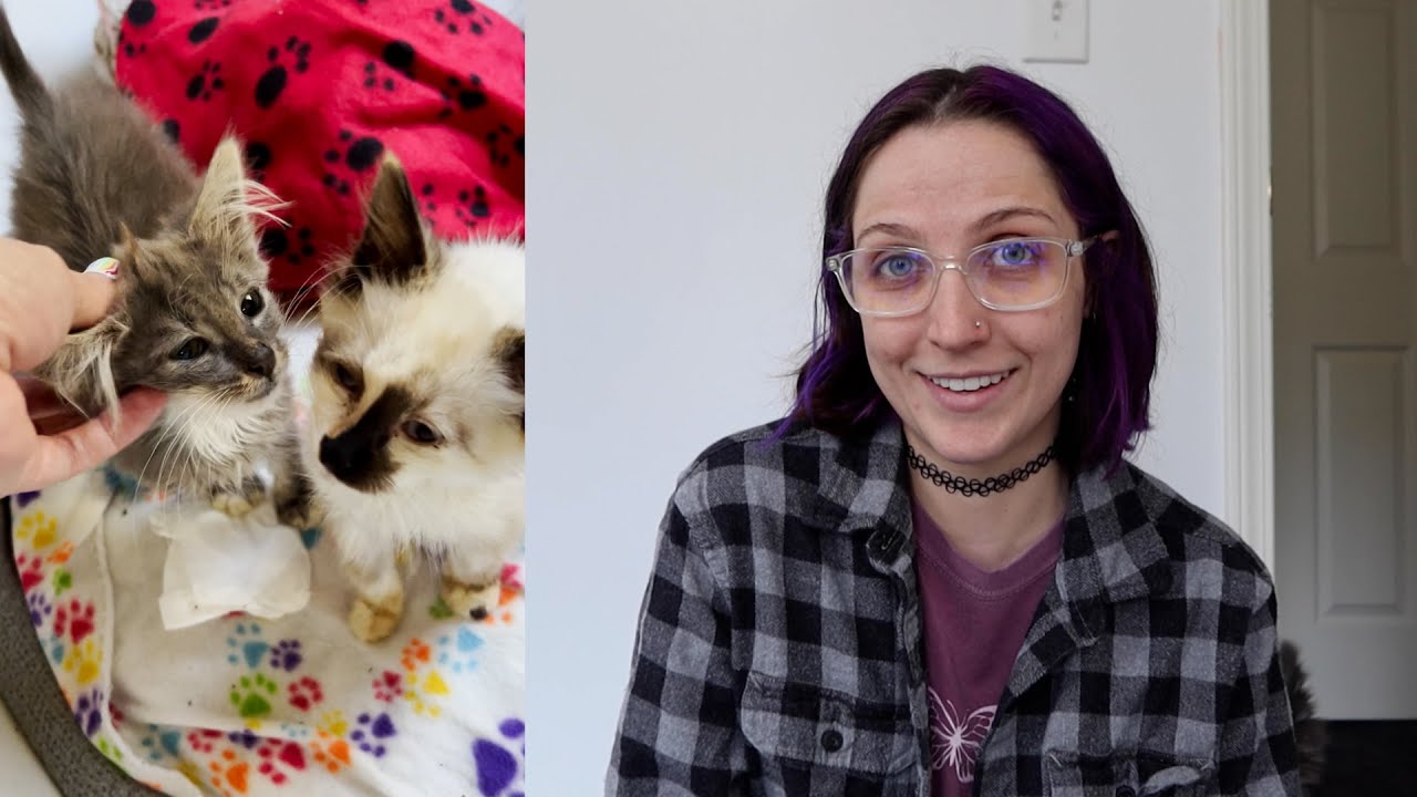ФИП с доктором Мэри (не врачом) | Fortheloveofkittenrescue