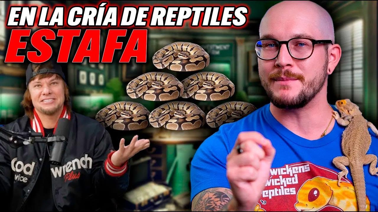 &iexcl;Theo Von tiene raz&oacute;n, la crianza de reptiles es una estafa!