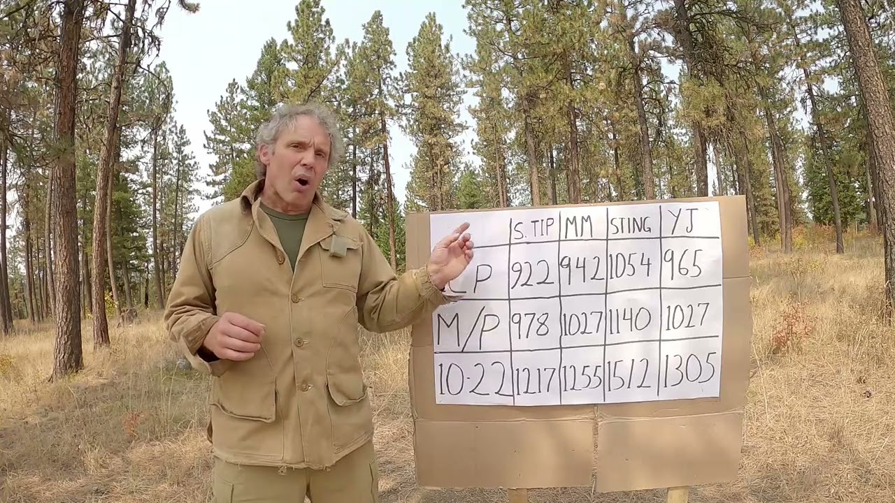 Winchester Silvertip 22lr Ammo Review