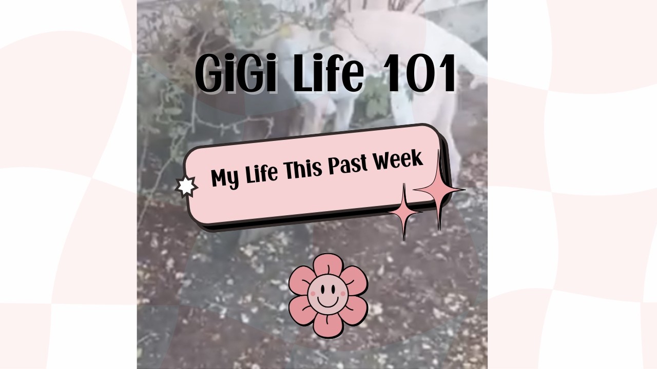 Week 1 Feb | My Life in the Country | GiGi Life | Puppies, Cooking, BTS Savings Challenges