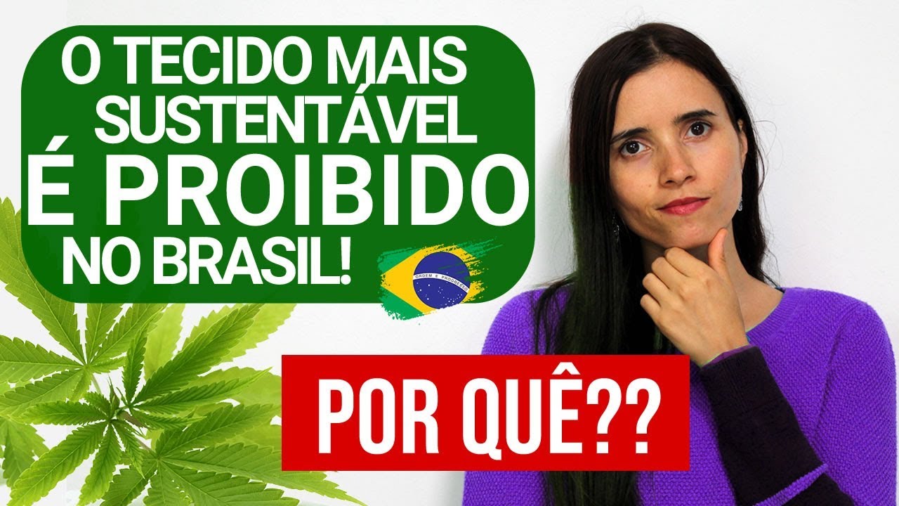PROIBIDA NO BRASIL! POR QUE A PLANTA MAIS SUSTENT&Aacute;VEL DO MUNDO N&Atilde;O ENTRA NO BRASIL?