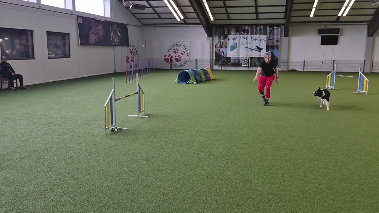 Turnier Vöhringen, 31 01 2026, Beegy, J3, 1 Verweigerung, Platz 6