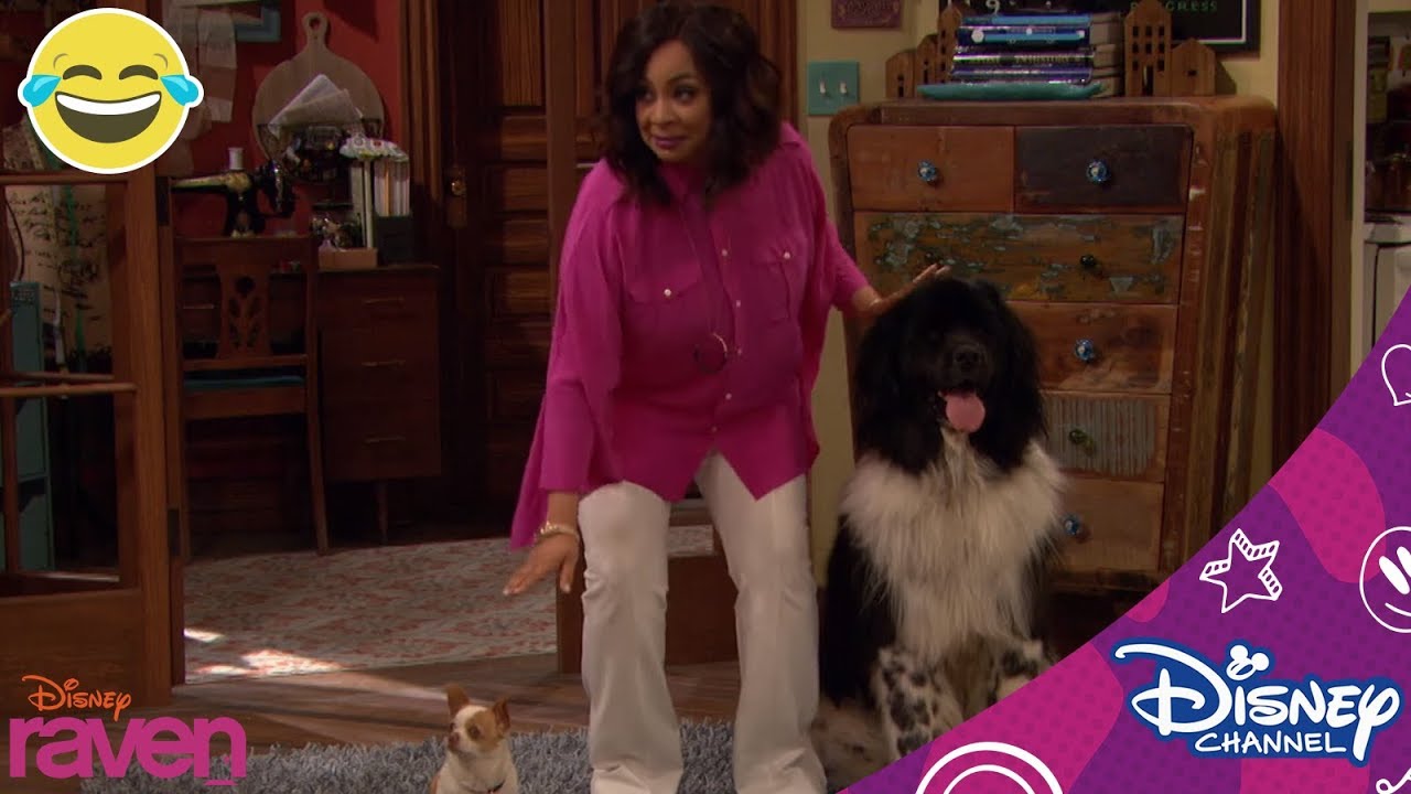 Raven | Les chiens jumeaux | Disney Channel BE