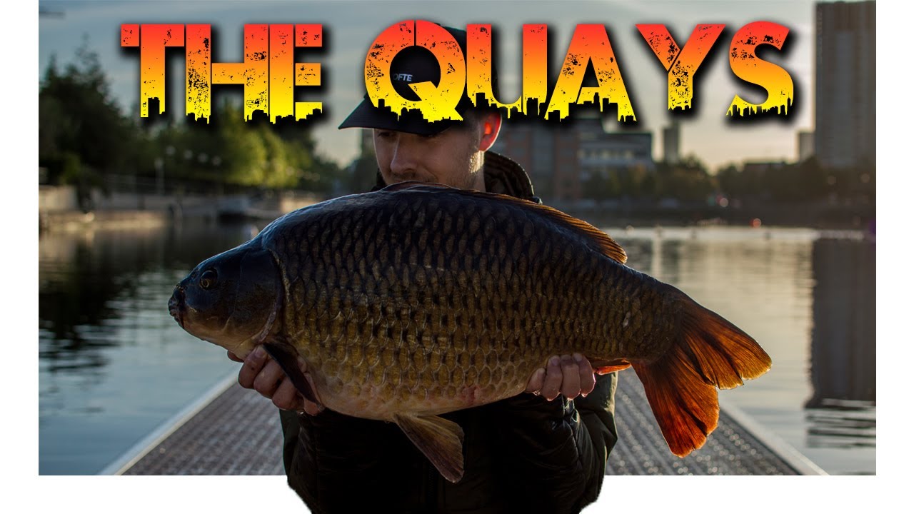 URBAN CARP FISHING - THE QUAYS