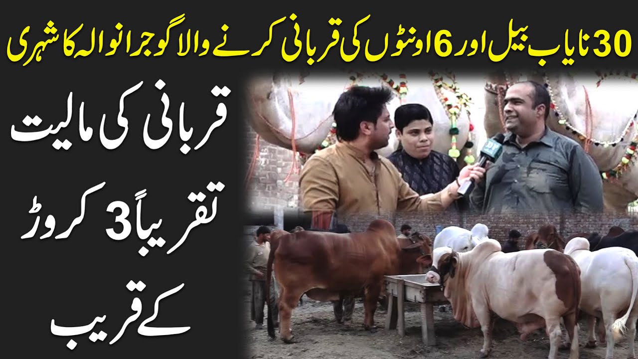 30 Nayab Bail, 6 Onton ki Qurbani krny wala Gujranwala ka Shehri, Qurbani ki Maliyat 3 Crore k qarib