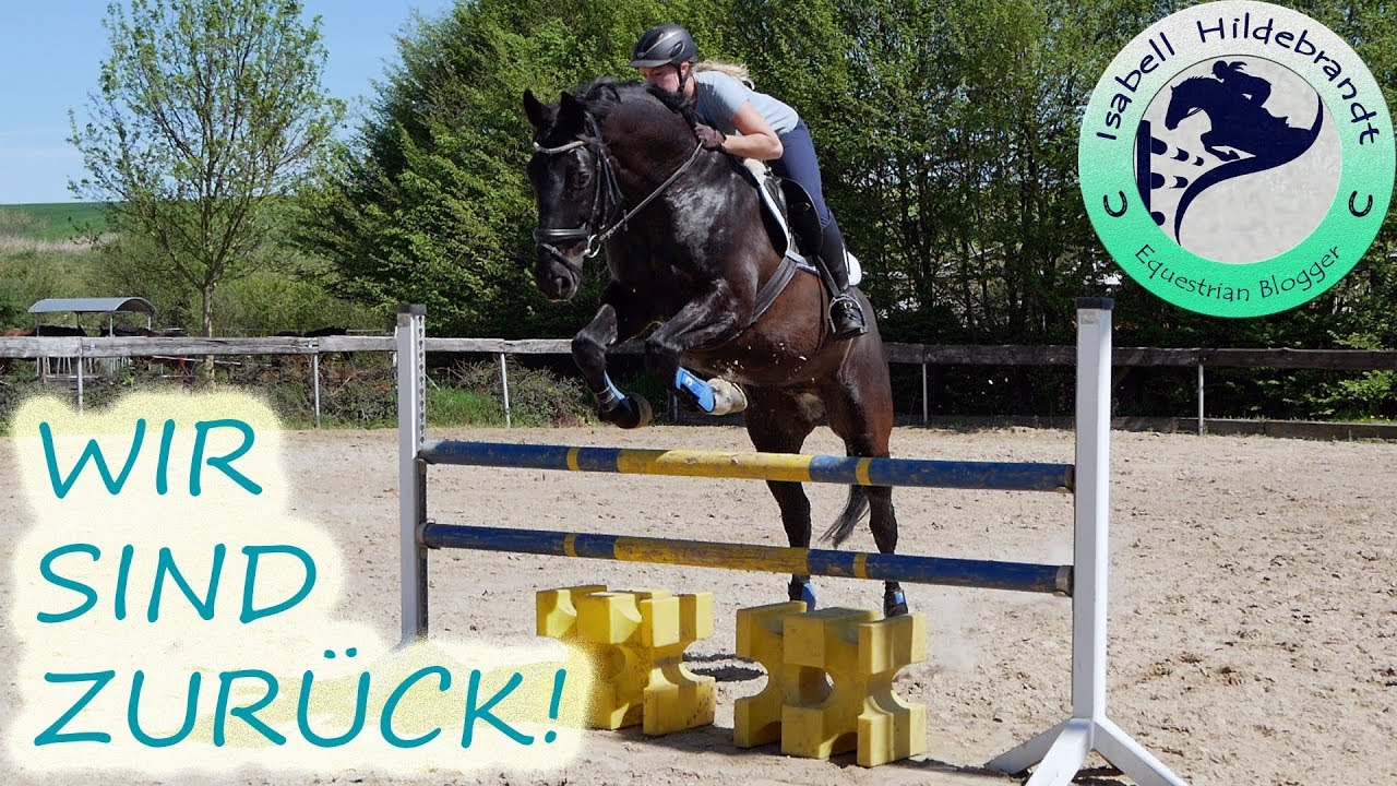 WIR SIND ZURÜCK! Stalltag & Springtraining