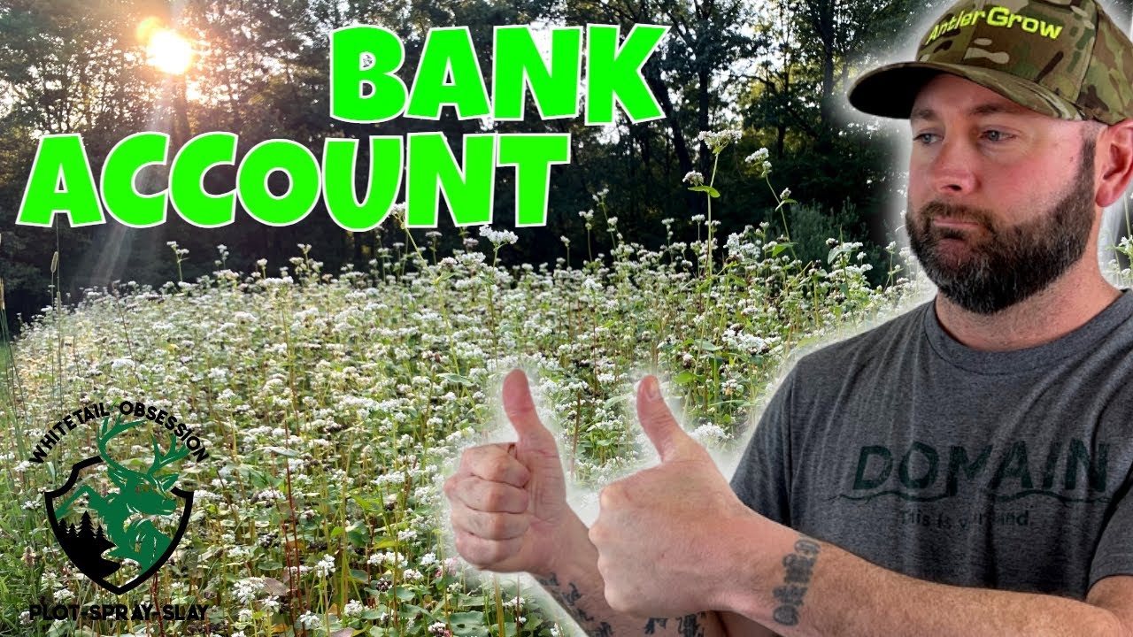 BUCKWHEAT The Food Plot Power Crop! 🌱🦌✔🤑