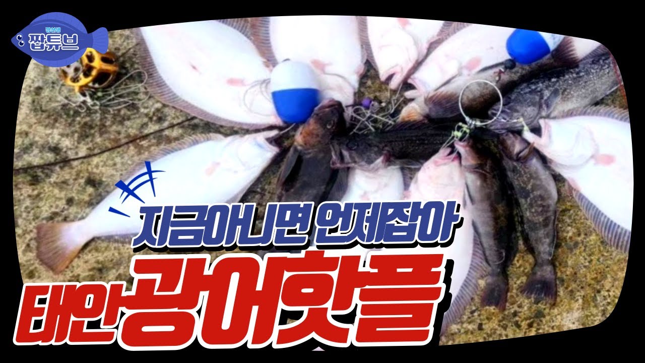 비가와도 낚시는 해야죠~ 광어핫플 가의도에 여객선 타고 들어갑니다