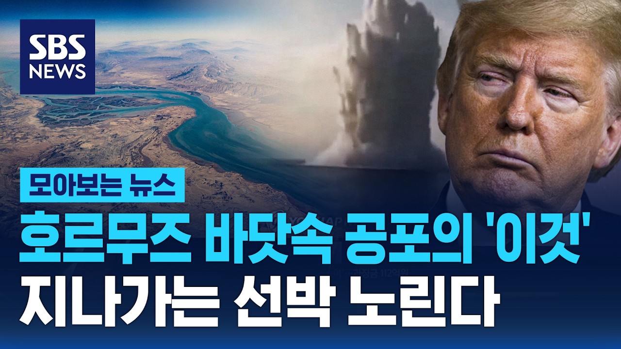 호르무즈 바닷속 공포의 '이것'...지나가는 선박 노린다 / SBS / 모아보는 뉴스