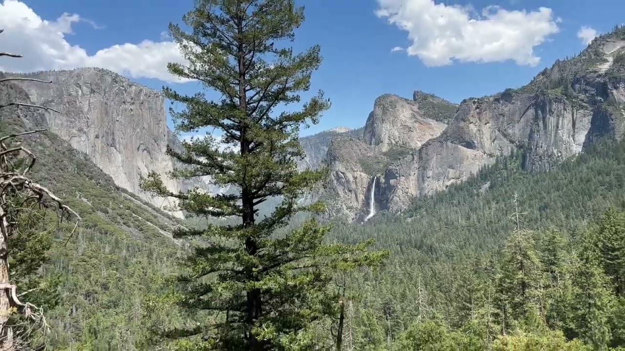 Yosemite 13000’ above sea level 
