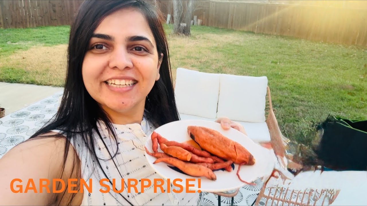 Last Year I Failed… But Look What I Found in My Garden! 🌱🥹