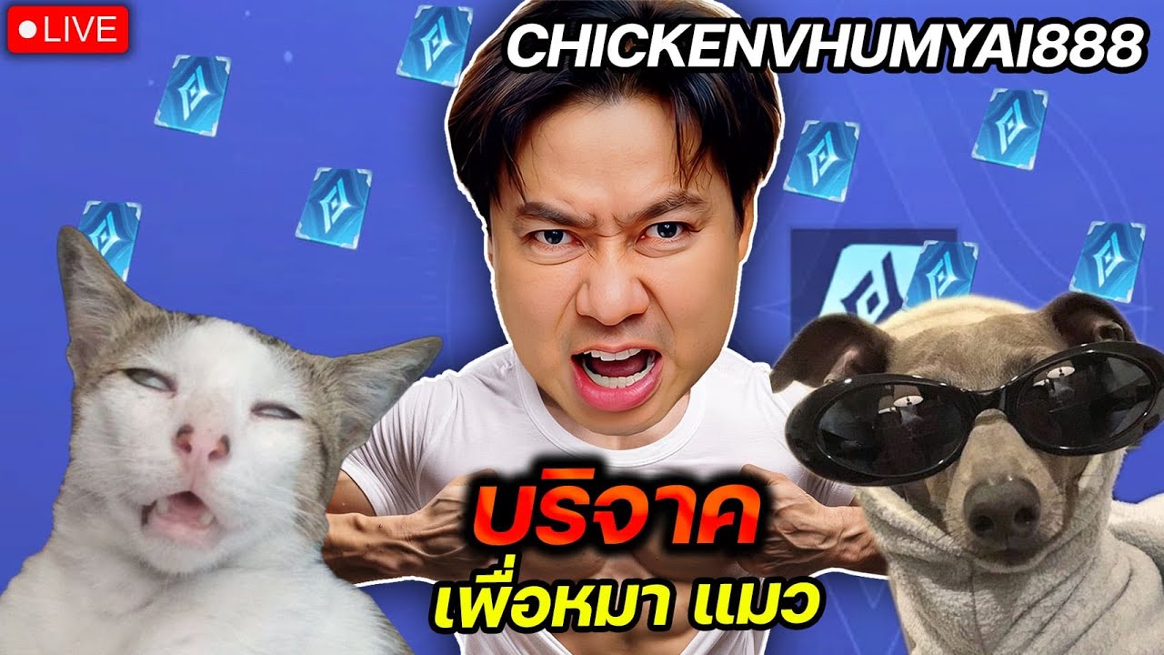 ไลฟ์นี้ทุกบาทบริจาคให้สัตว์ มี 4 โค๊ด  |  ROV