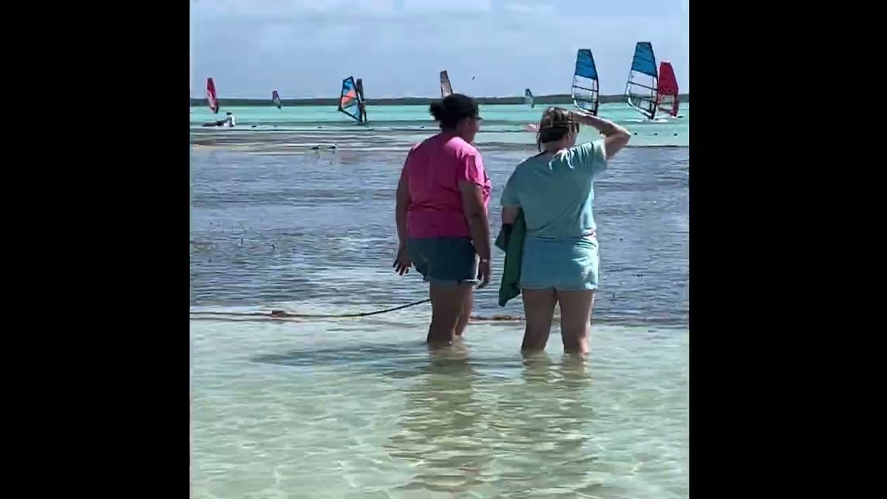 Bonaire cruise port and salt flats tour
