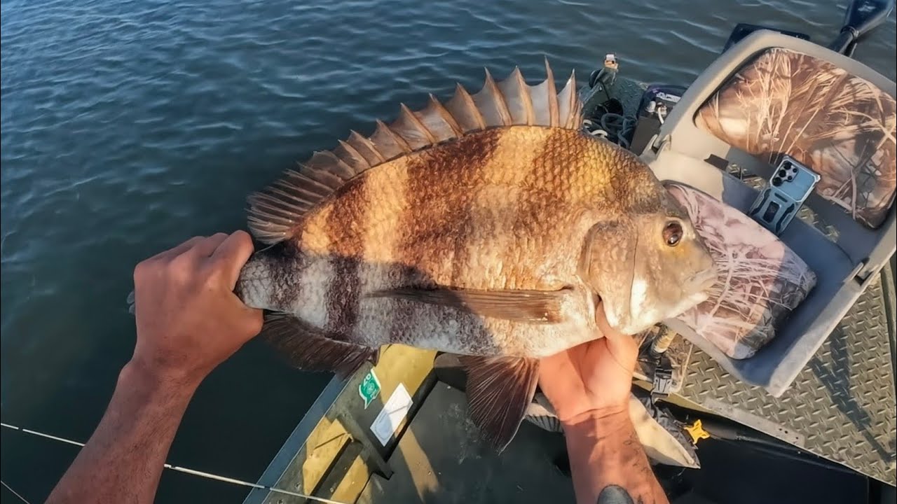 Jigging a variety of fish! (Inshore slam+More)