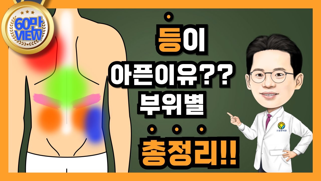 등이 아픈이유? 부위별 연관통 증상 과 담적병 (담적보감㉘)