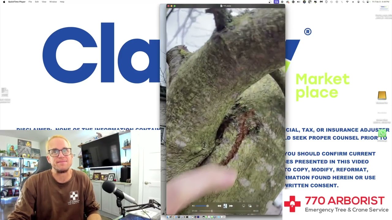 Arborist Talks Pruning Linden Trees!!!
