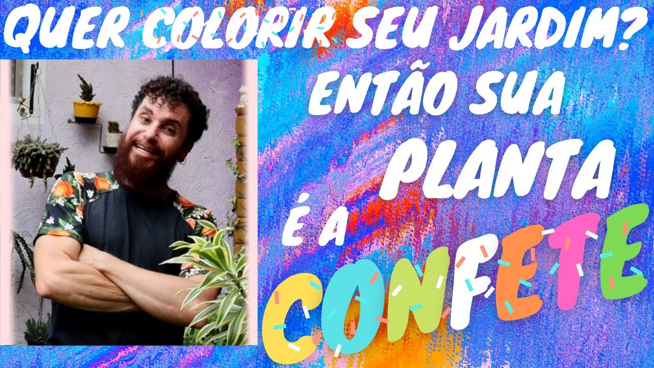 Dicas de cultivo, como plantar e fazer mudas da Hypoestes ou Confete. Não compre sem ver este vídeo!