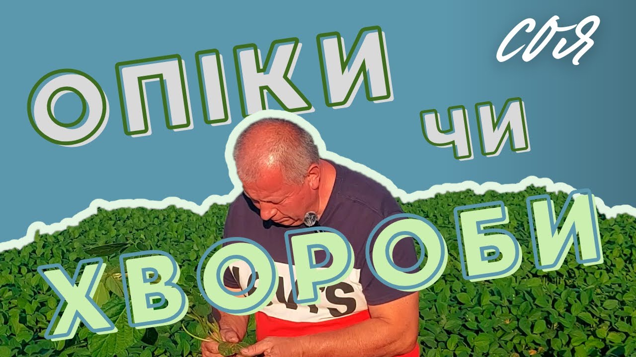 Соя | 🤨Як відрізнити хвороби від опіків?🤨