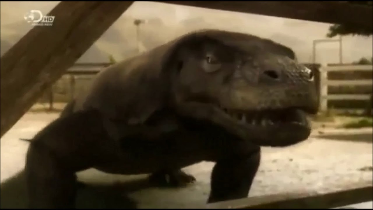 Megalania tribute (Big Bad Ripper)