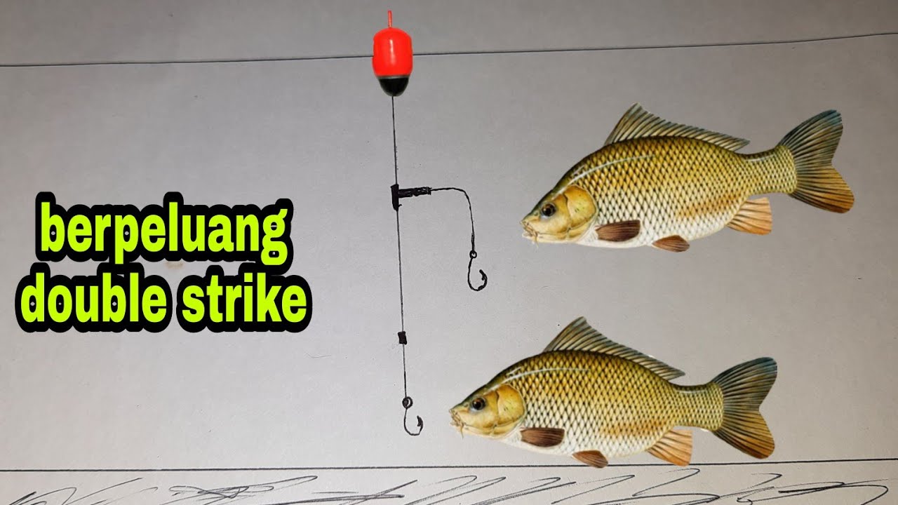 CARA BUAT RANGKAIAN PANCING IKAN MAS, 2 KAIL