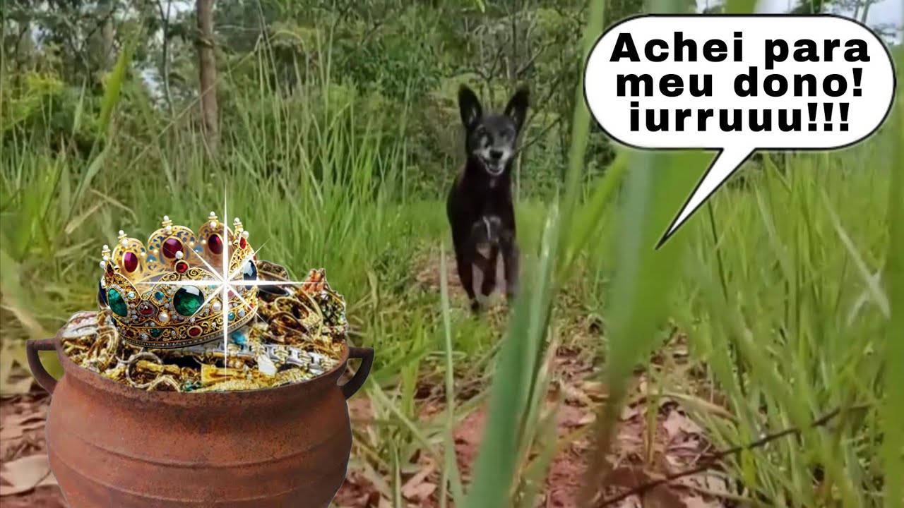 Meu cachorro me deixou rico achando essas jóias lindas!!! 😱