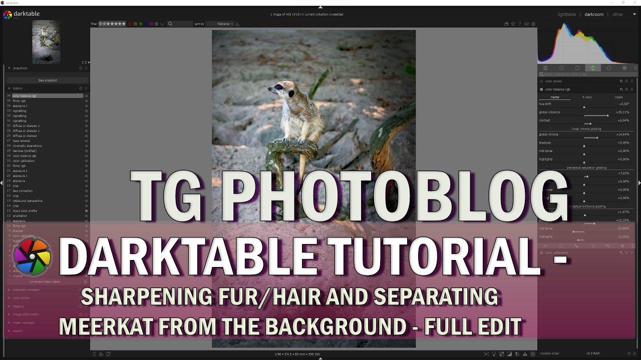 Darktable Tutorial - Sharpening Fur and Separating Meerkat From The Background