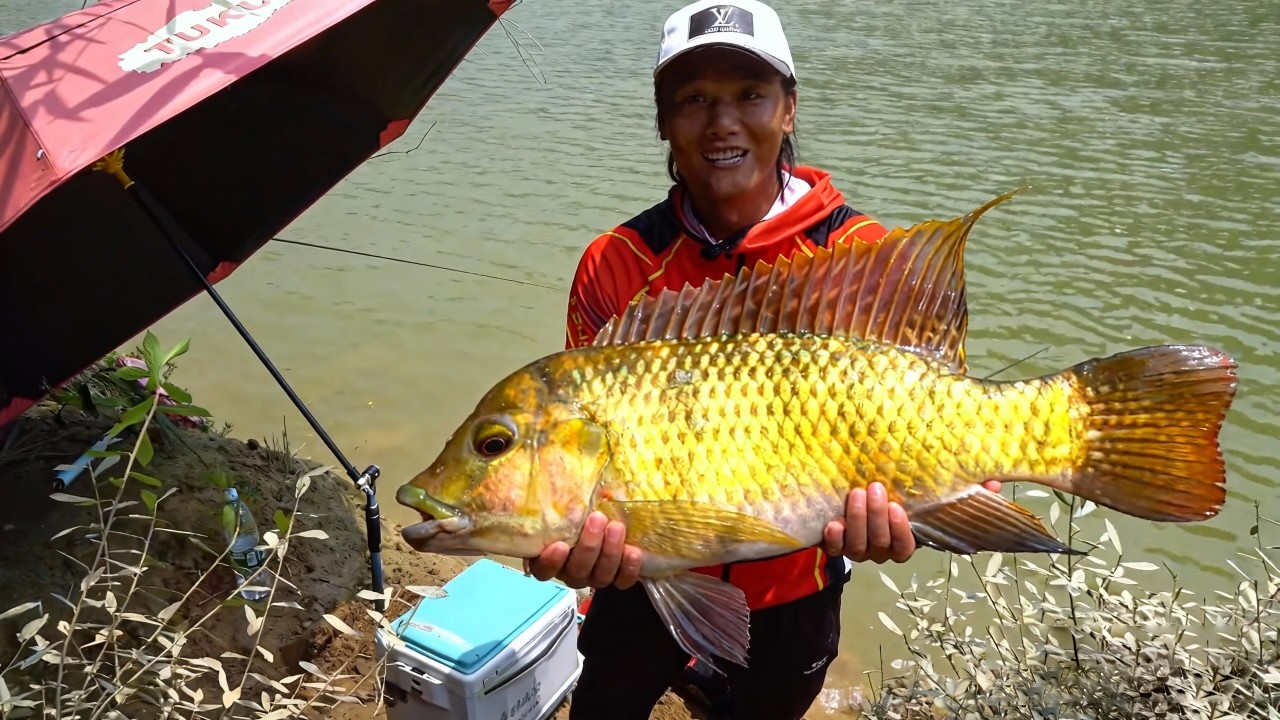 探钓英德长湖水库无人区，竟然遇到钓友车子打窝窝，然后人也打窝了，野钓还是要注意安全阿#游钓黑坑  #野钓 #钓鱼人就是这么疯狂