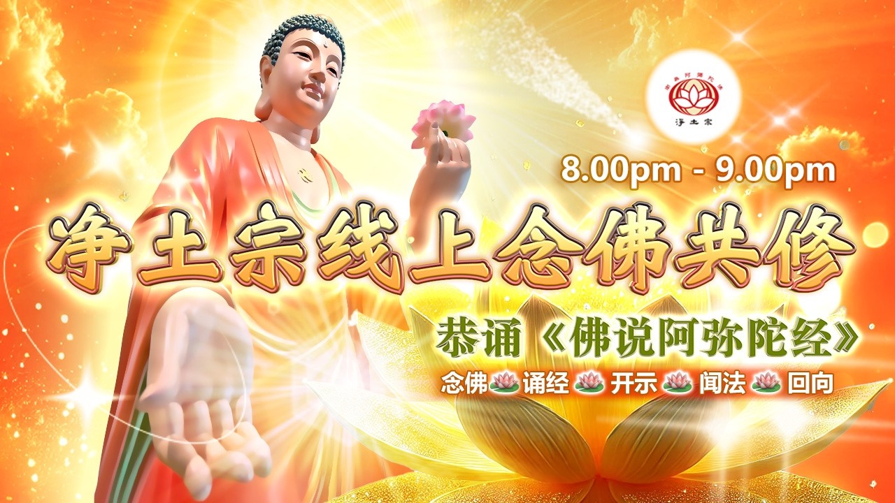【同步】净土宗线上念佛共修暨法师开示【第2180天】+ 开示视频《佛种佛果》07-03-2026 Online Session（晚上8pm-9pm (GMT+8))【打开CC字幕】