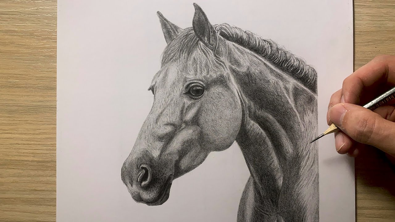 Cómo dibujar un Caballo Realista a Lápiz