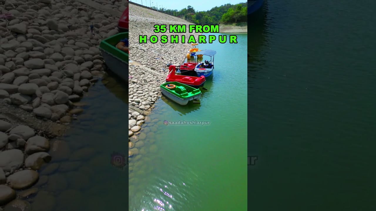 Thana Dam Best Picnic spot #saadahoshiarpur #shortvideos #youtubeshorts