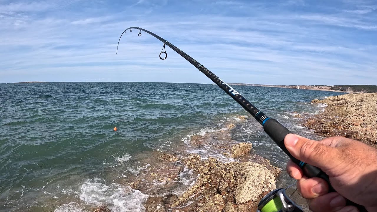 Des crevettes, du poisson, un homme heureux ! 🦐 Pêche du bord à la crevette