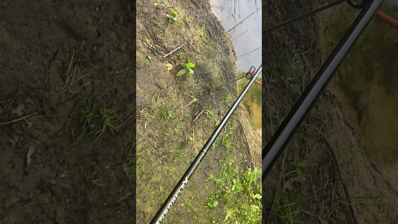 #fishing #newfishers #supportchannel