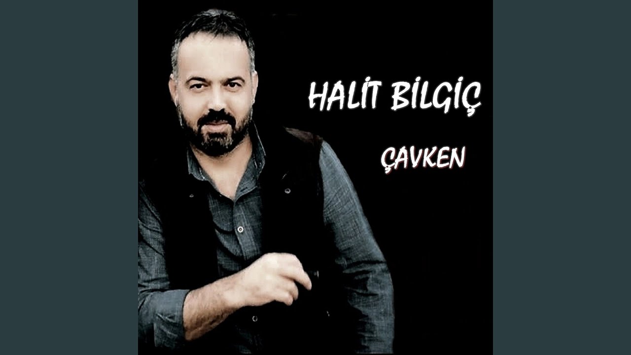 &Ccedil;avken