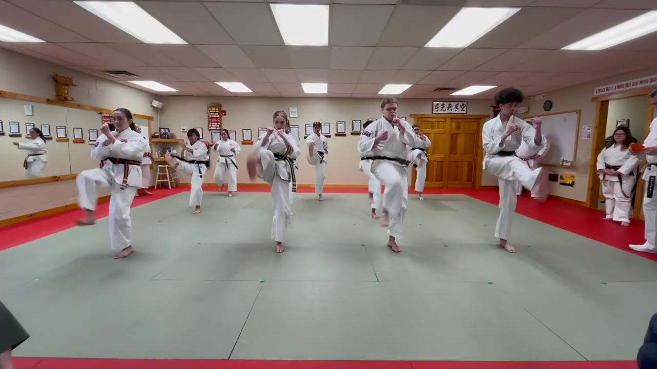 Basics (Kihon) Demo