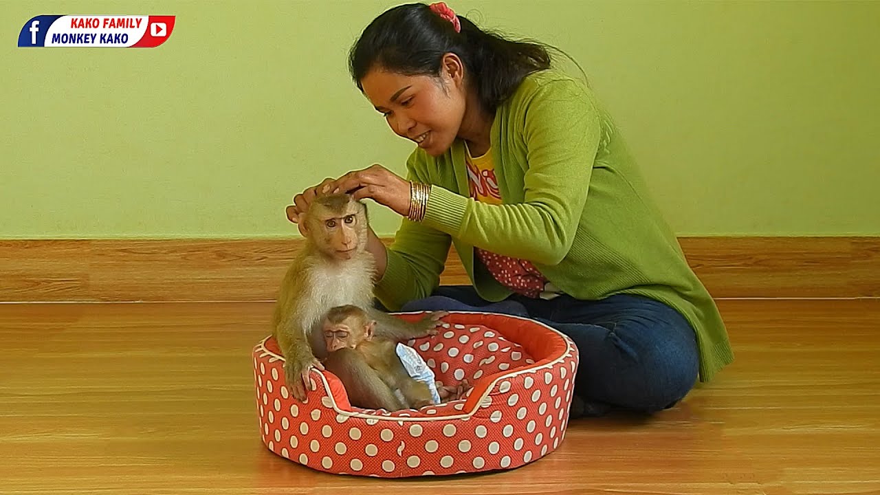 Mom Take Care Baby And Grooming Tiny Olly With Adorable Kako Sleep